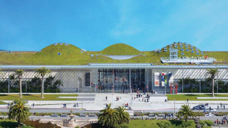 Golden Gate Park Suite Σαν Φρανσίσκο Εξωτερικό φωτογραφία