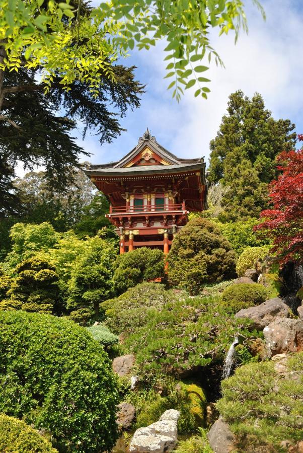 Golden Gate Park Suite Σαν Φρανσίσκο Εξωτερικό φωτογραφία