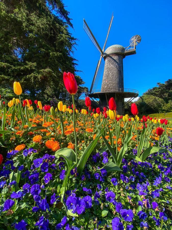 Golden Gate Park Suite Σαν Φρανσίσκο Εξωτερικό φωτογραφία