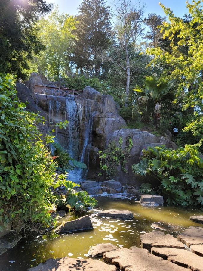 Golden Gate Park Suite Σαν Φρανσίσκο Εξωτερικό φωτογραφία